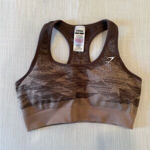Gymshark Adapt Ombre Seamless Sports Bra in the Triangle Taupe